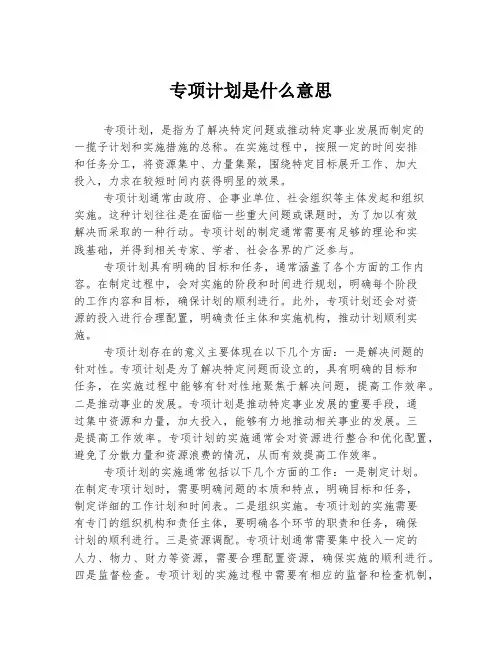 专项计划是什么意思