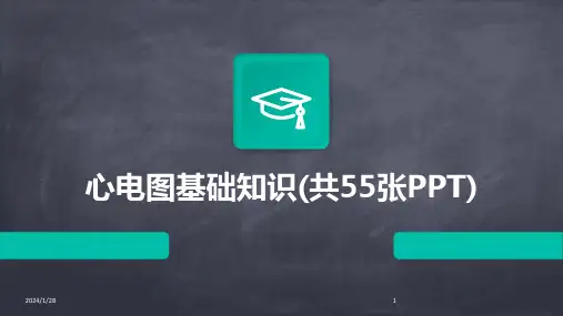 心电图基础知识(共55张PPT)