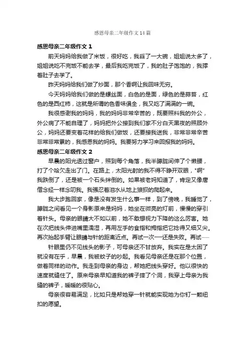 感恩母亲二年级作文14篇