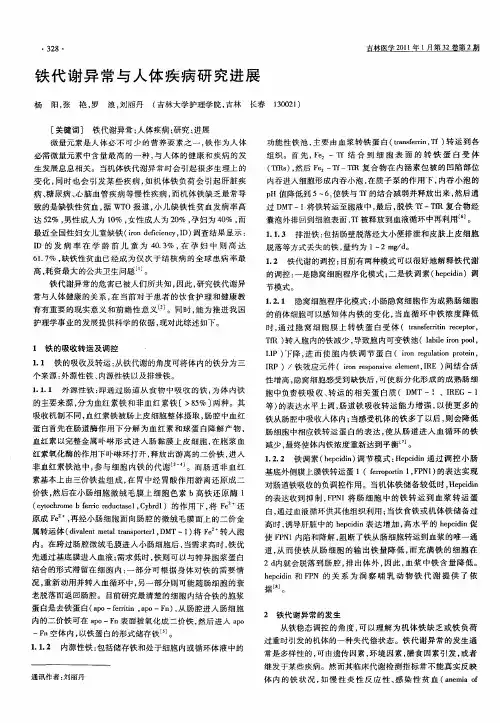 铁代谢异常与人体疾病研究进展