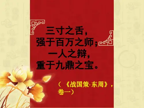 辩论赛培训PPT