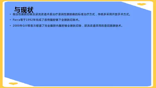 【正式版】完全腹腔镜下全膀胱PPT文档
