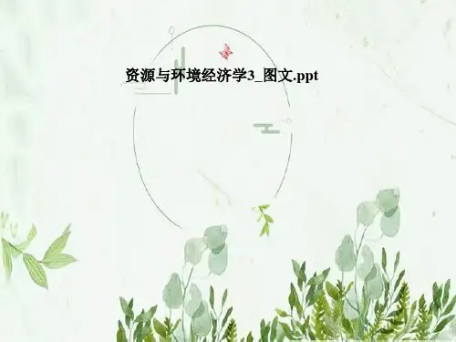 资源与环境经济学3-图文