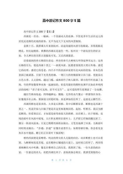 高中游记作文800字5篇