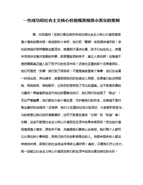 一些成功将社会主义核心价值观落细落小落实的案例