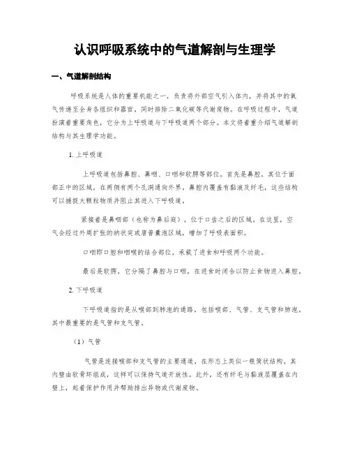认识呼吸系统中的气道解剖与生理学