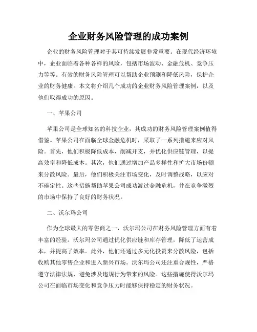 企业财务风险管理的成功案例