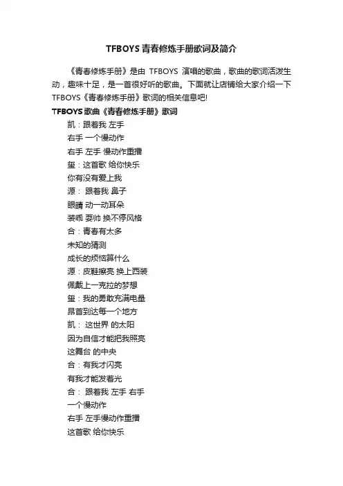 TFBOYS青春修炼手册歌词及简介
