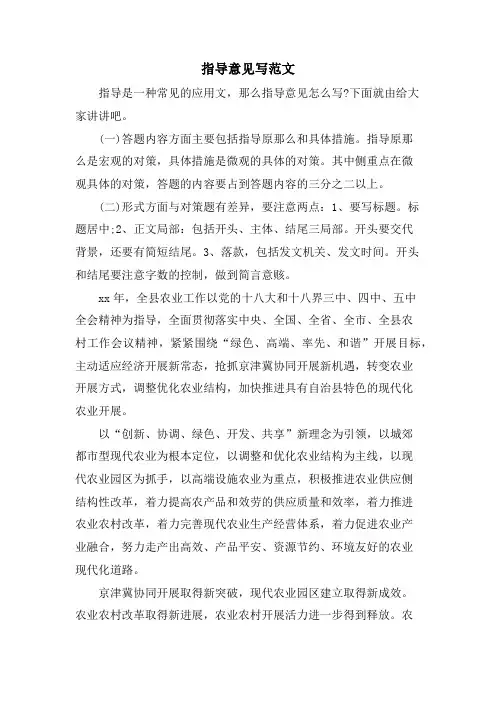 指导意见写范文.doc