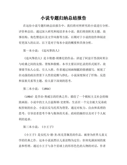 小说专题归纳总结报告