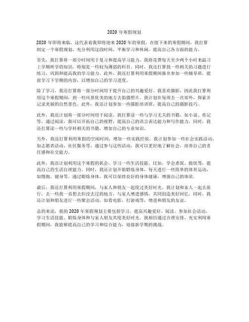 2020年寒假规划