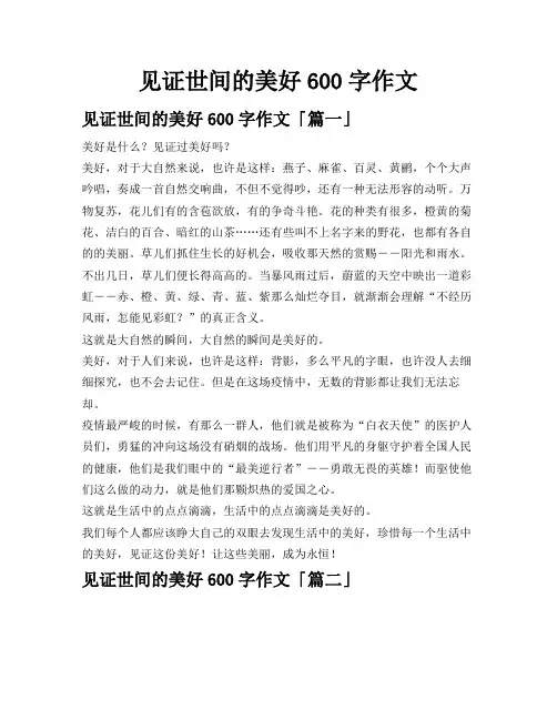 见证世间的美好600字作文
