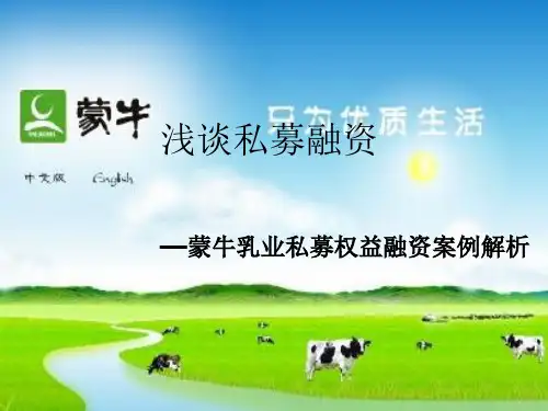 蒙牛融资案例分析