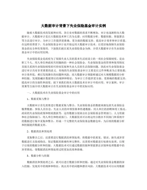大数据审计背景下失业保险基金审计实例