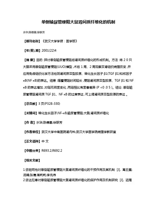 单侧输尿管梗阻大鼠肾间质纤维化的机制