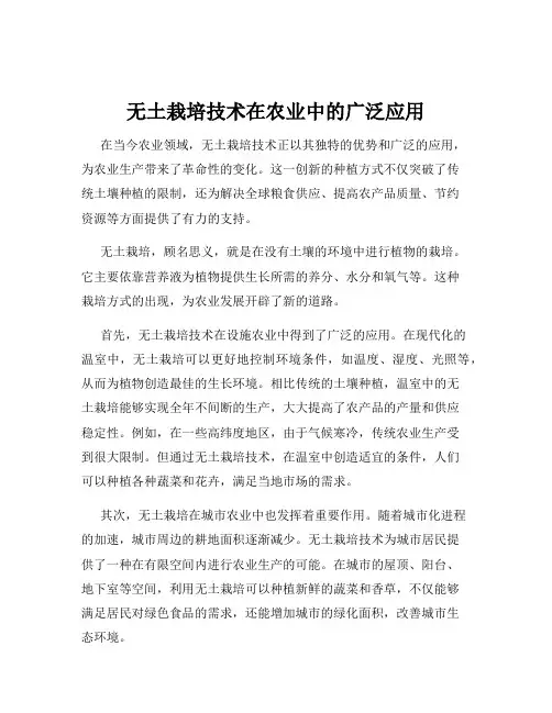 无土栽培技术在农业中的广泛应用