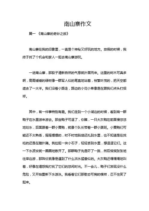 南山寨作文