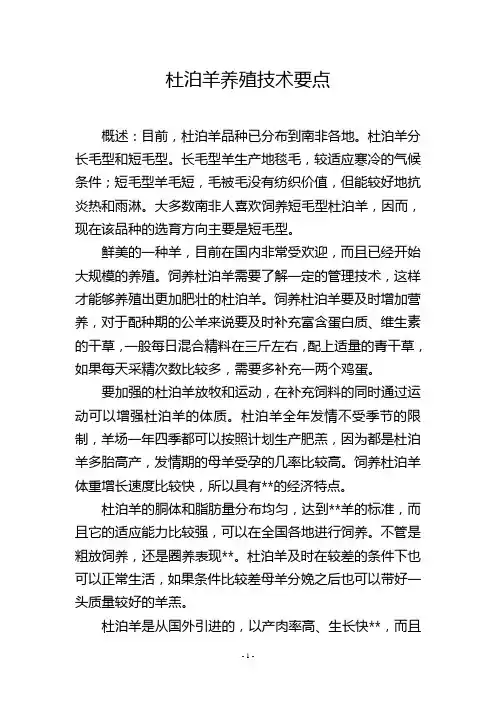 杜泊羊养殖技术要点