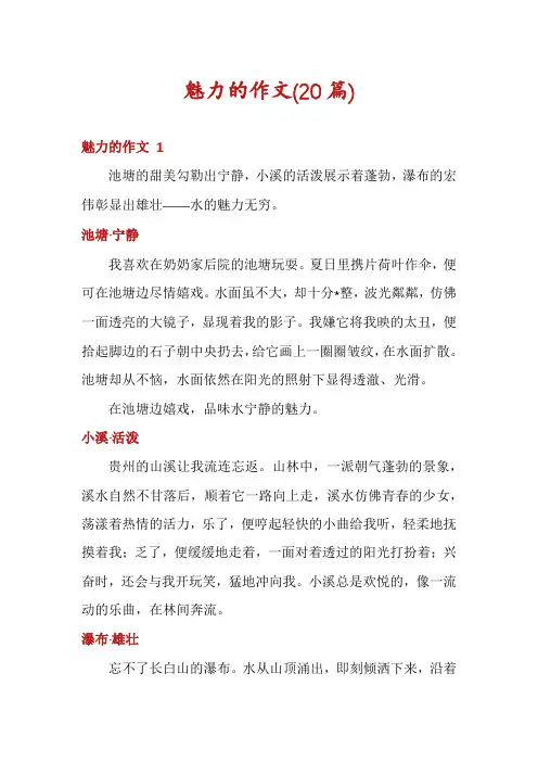 魅力的作文(20篇)