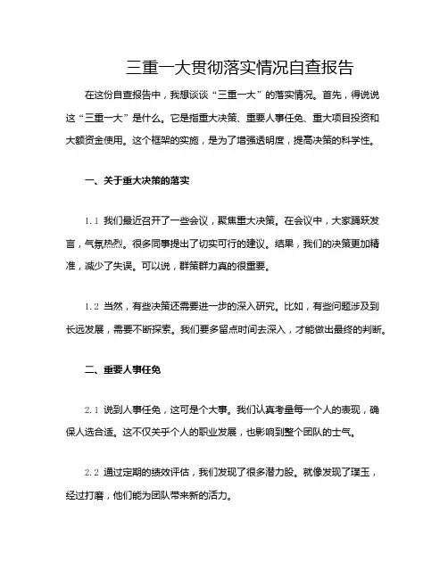 三重一大贯彻落实情况自查报告