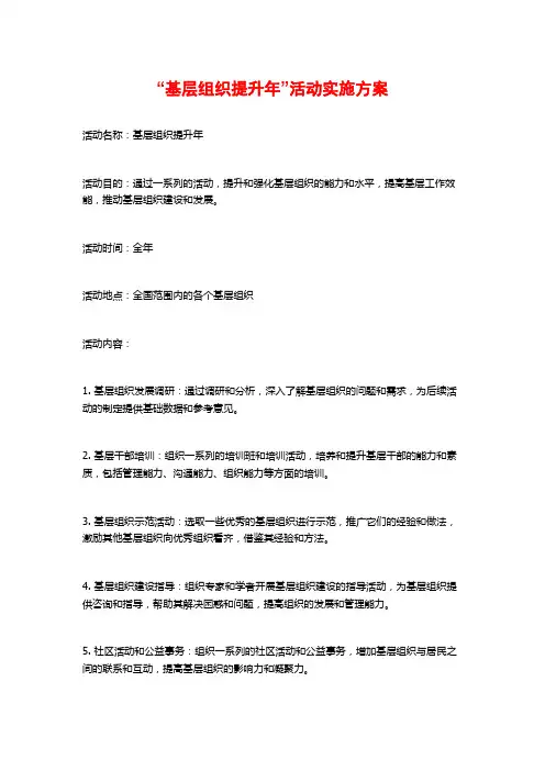 “基层组织提升年”活动实施方案 (2)
