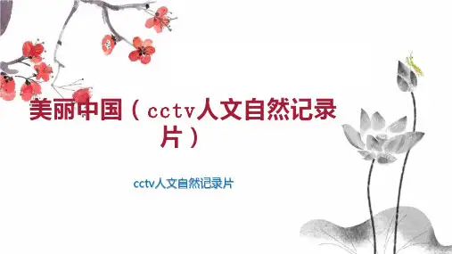 美丽中国(cctv人文自然记录片)