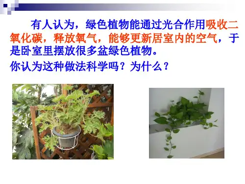 绿色植物的呼吸作用共21张PPT1