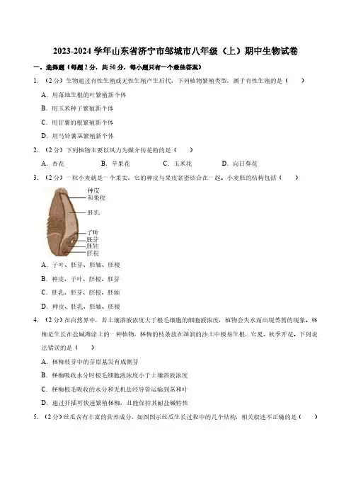 山东省济宁市邹城市2023-2024学年八年级上学期期中生物试卷(含答案)