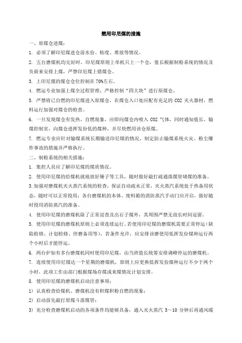 燃用印尼煤的措施(11年)