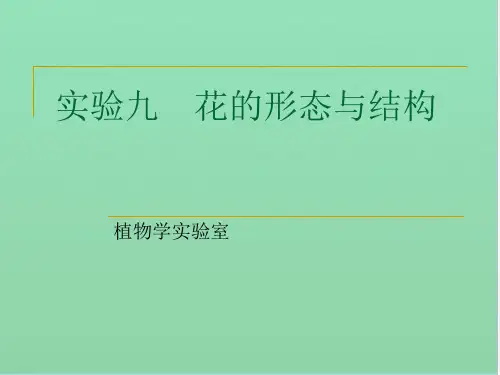花的形态与结构
