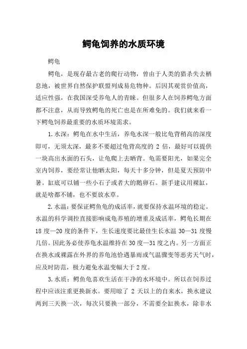 鳄龟饲养的水质环境