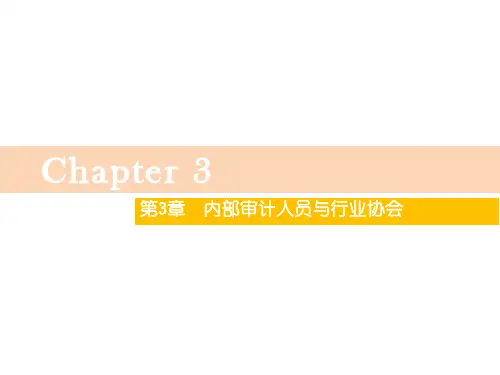 第三章  内部审计人员与行业协会  《内部审计》  PPT课件