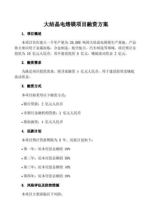大结晶电熔镁项目融资方案