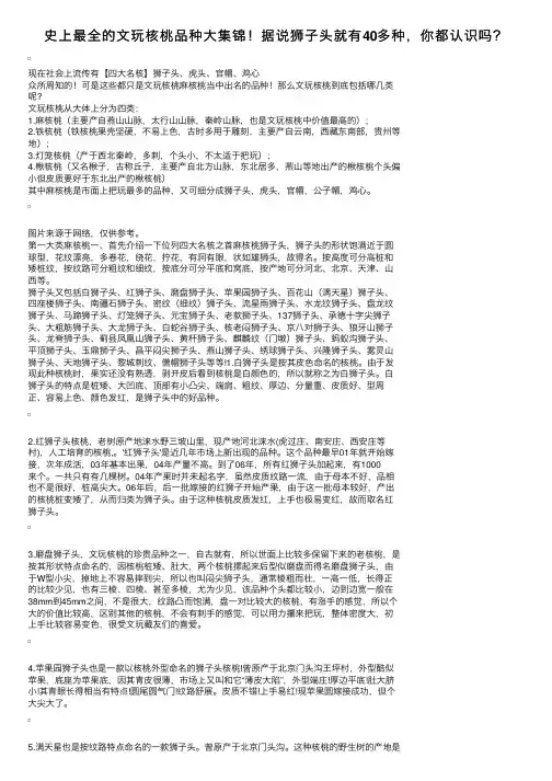 史上最全的文玩核桃品种大集锦！据说狮子头就有40多种，你都认识吗？
