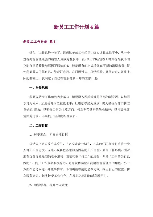 2024年新员工工作计划4篇_2