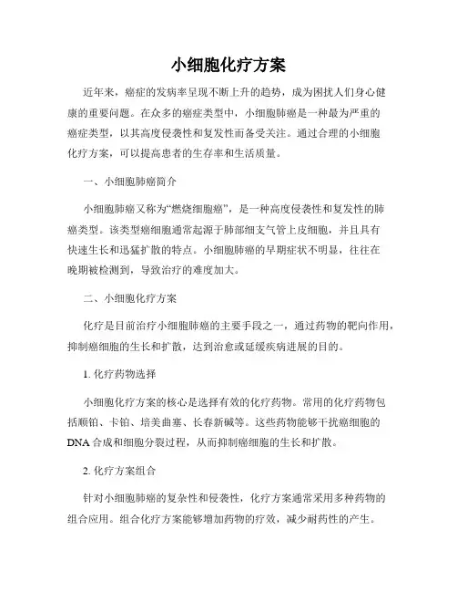 小细胞化疗方案