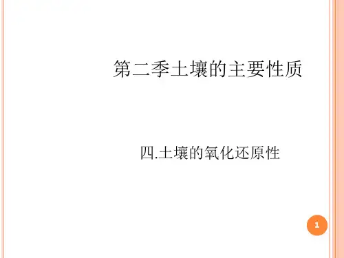 土壤的氧化还原性演示课件