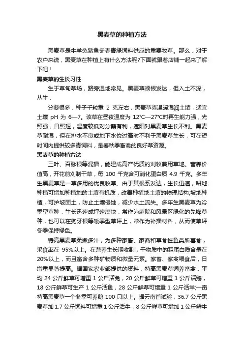 黑麦草的种植方法