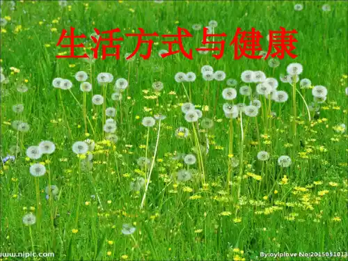 水平四(七年级)体育理论知识《生活方式与健康》课件 (3)
