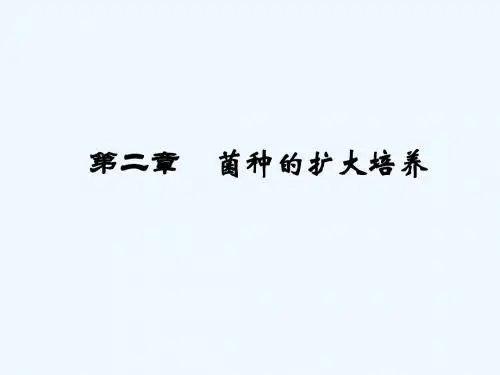 第二章 菌种扩大培养