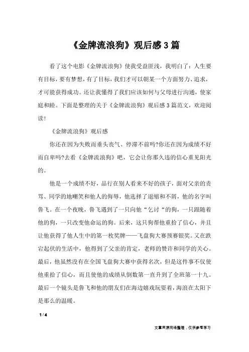 《金牌流浪狗》观后感3篇_应用文