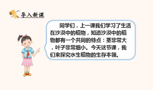 苏教版三年级科学下册水里的植物课件ppt
