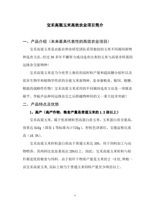 高粱玉米简介