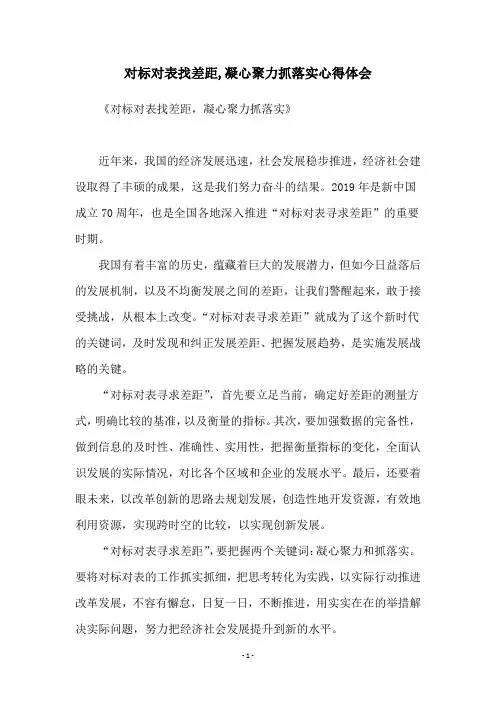对标对表找差距,凝心聚力抓落实心得体会