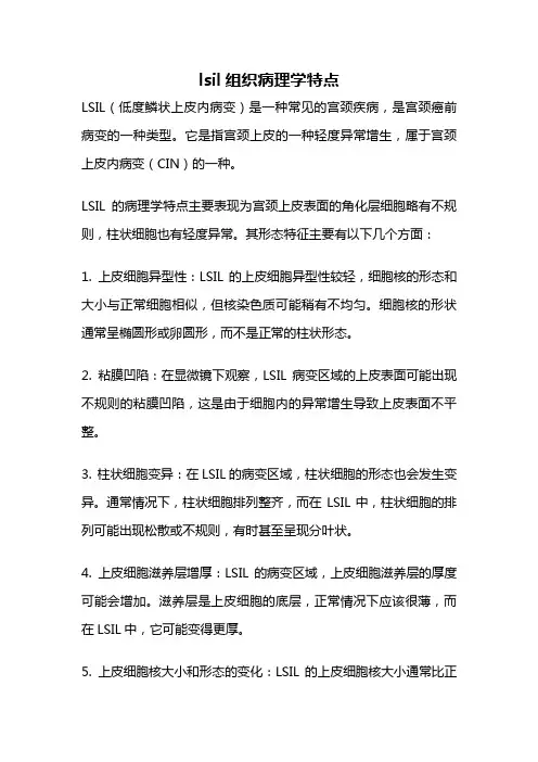 lsil组织病理学特点