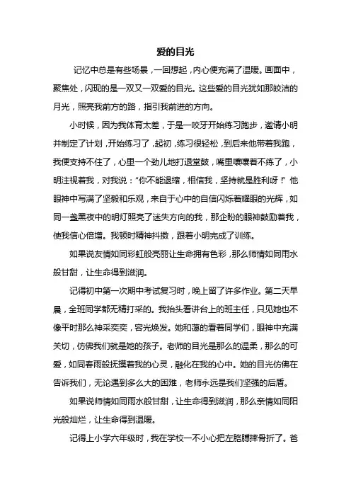 初一作文：爱的目光作文800字