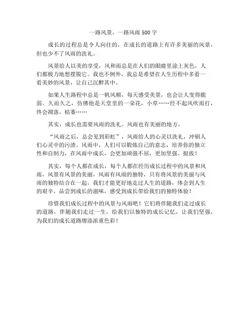 一路风景,一路风雨作文500字