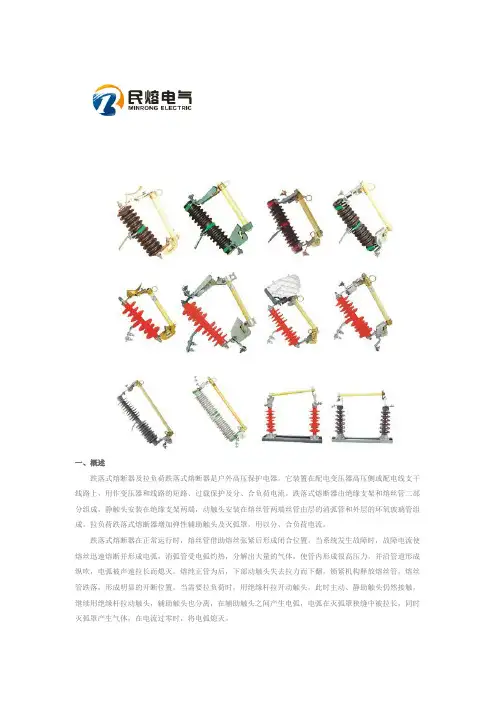 (H)RW系列跌落式熔断器