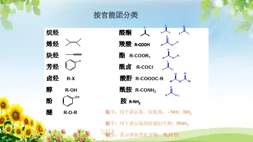 有机化学有机物的命名