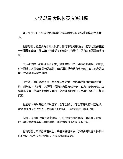 少先队副大队长竞选演讲稿